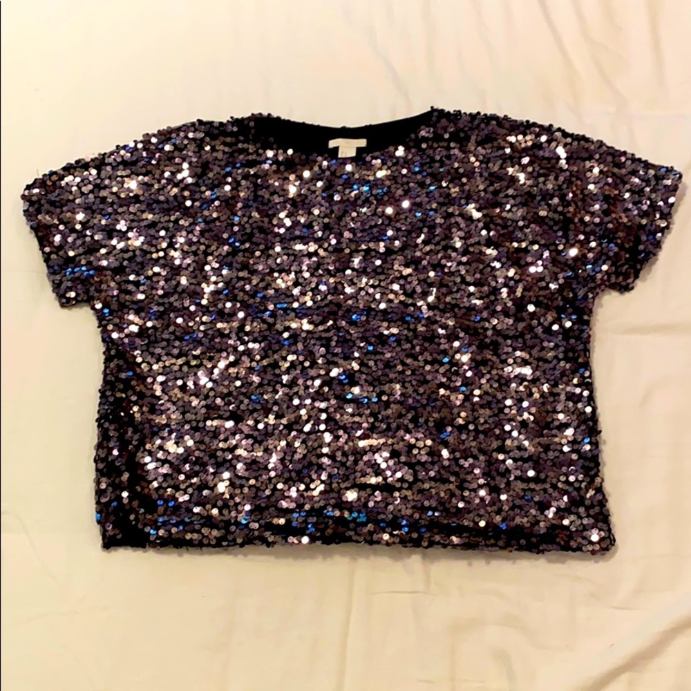 Sequined Shirt Sleeve Blouse